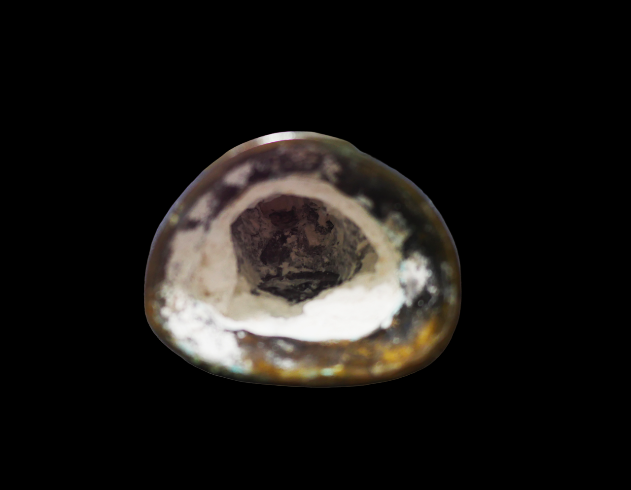 P1140108-PhotoRoom.png-PhotoRoom