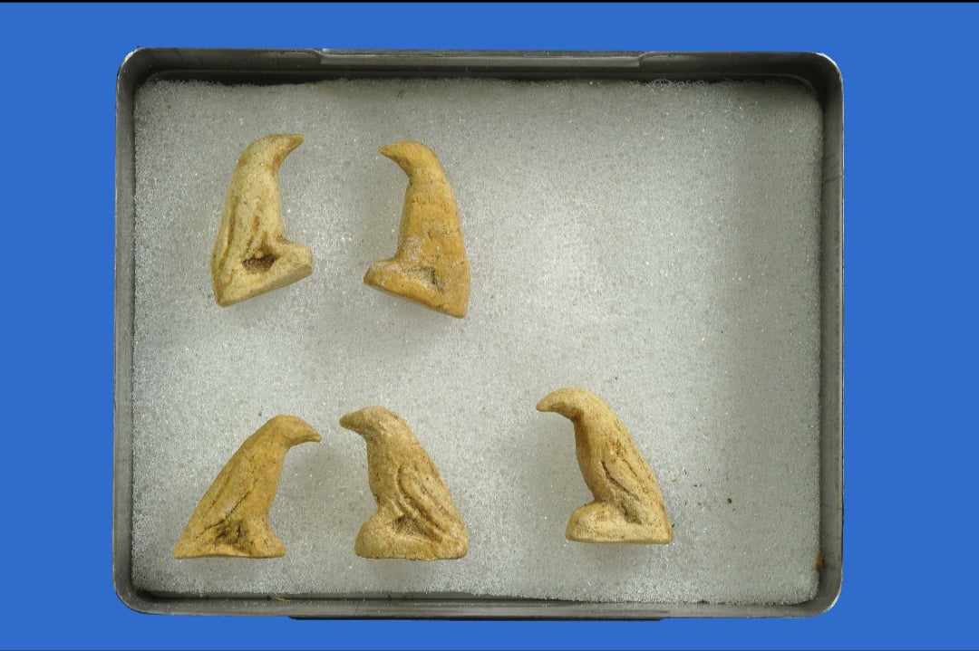 received_877601760363520