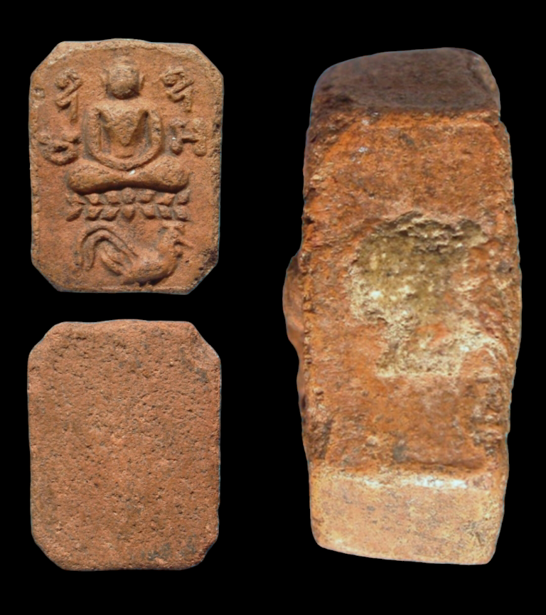 IMG_20240118_102448_copy_768x865