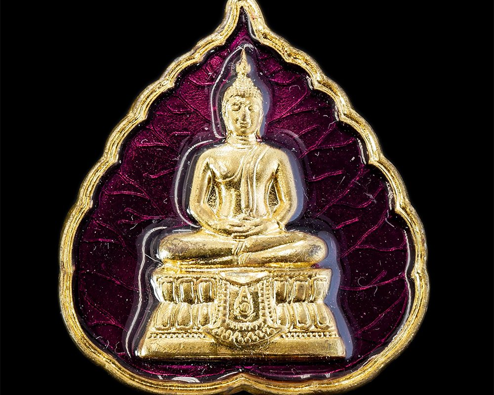25Jan24-167ap