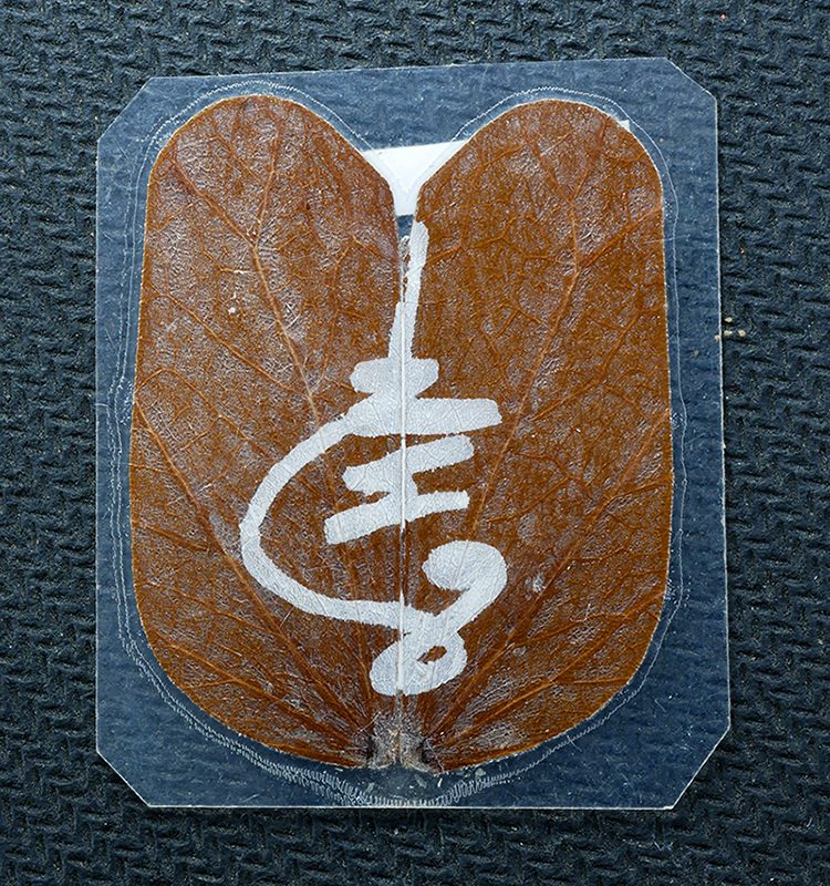 20Feb24-74bp