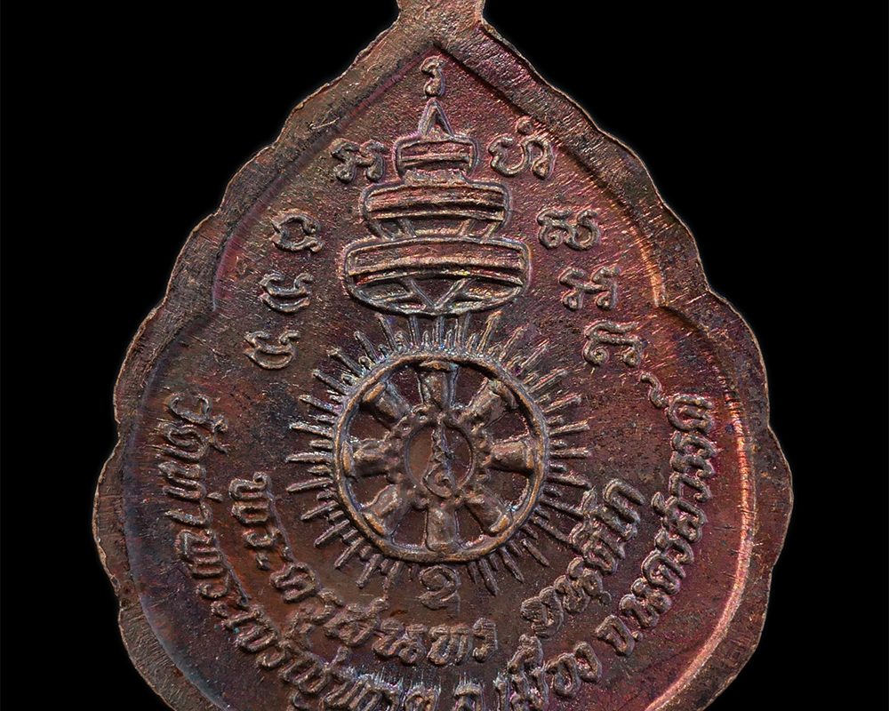 21Feb24-36bp