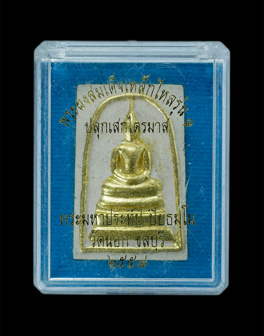 10Mar24-17dp