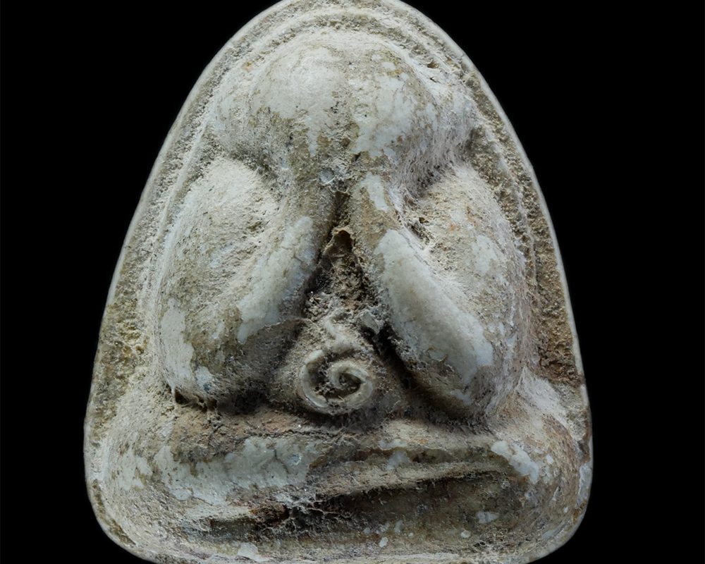 29Mar24-276p