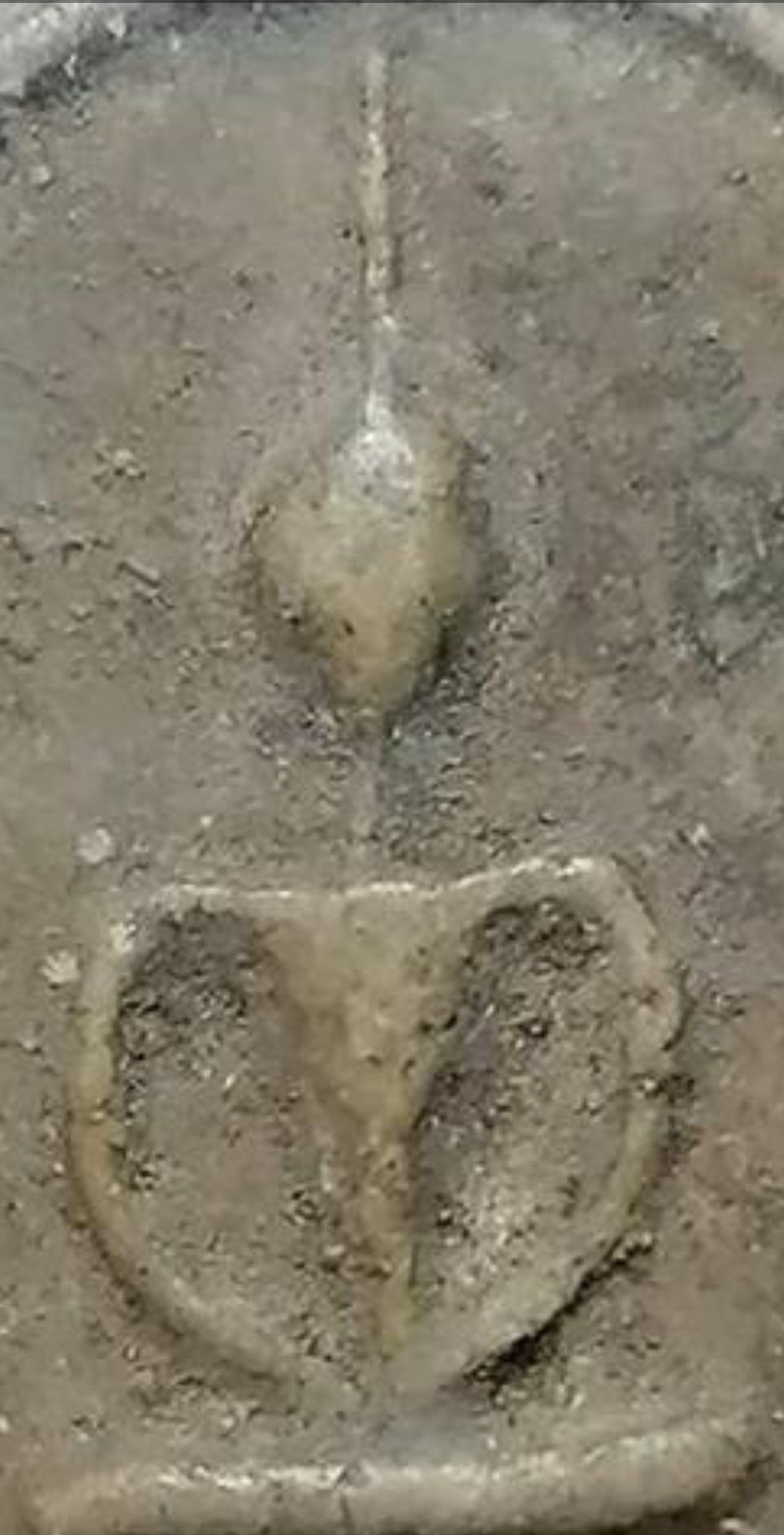 Screenshot_2024-07-03-11-09-05-095_com.miui_.gallery_copy_1080x2112