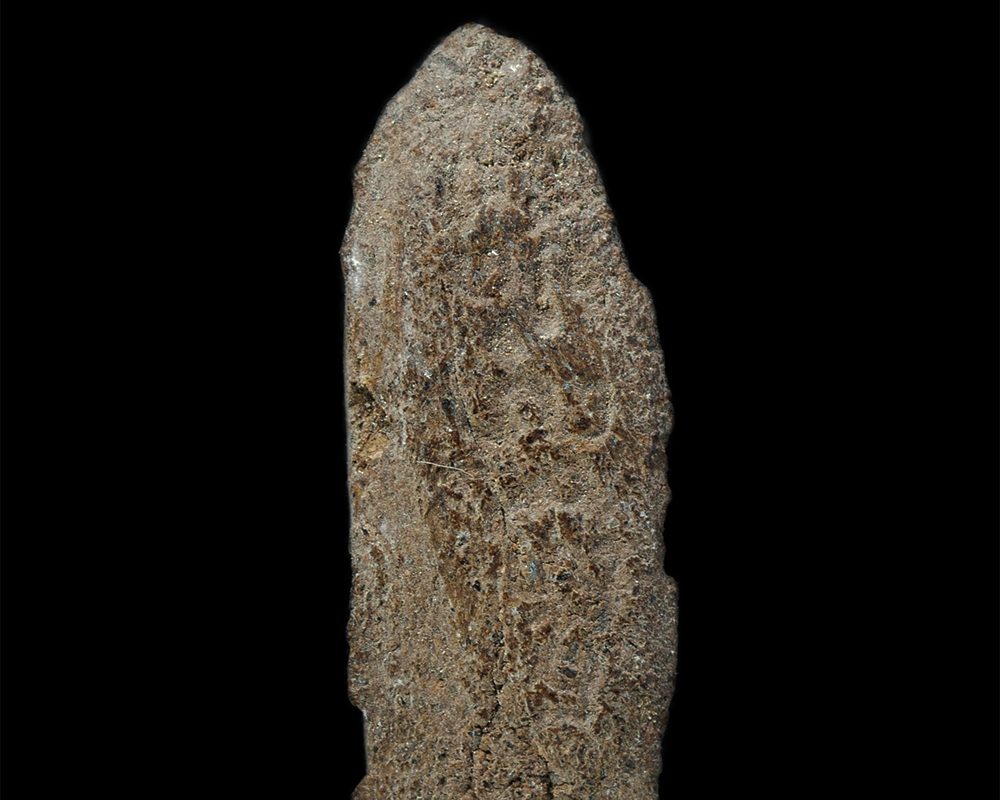 22Nov24-147p
