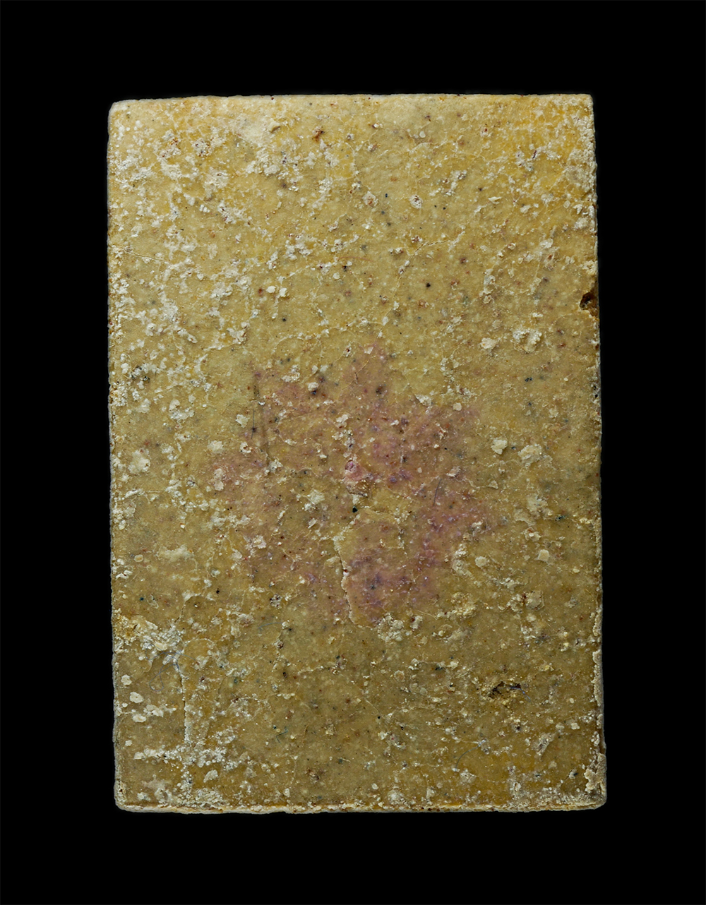 15Dec24-146apพิมพ์E