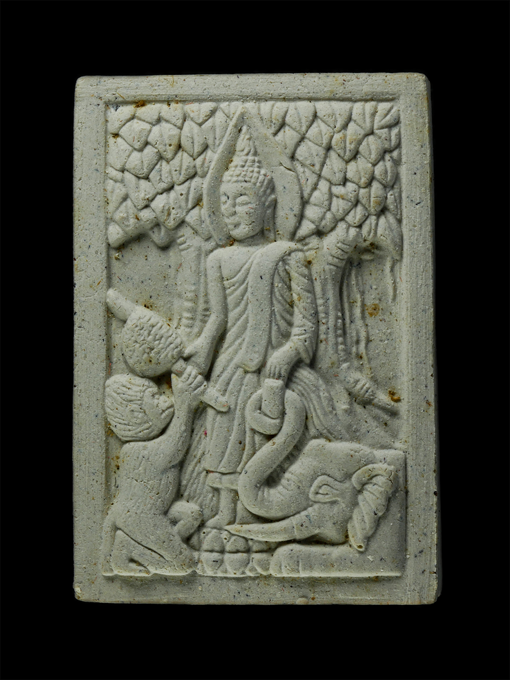 21Dec24-58pพุธ-กลางคืน