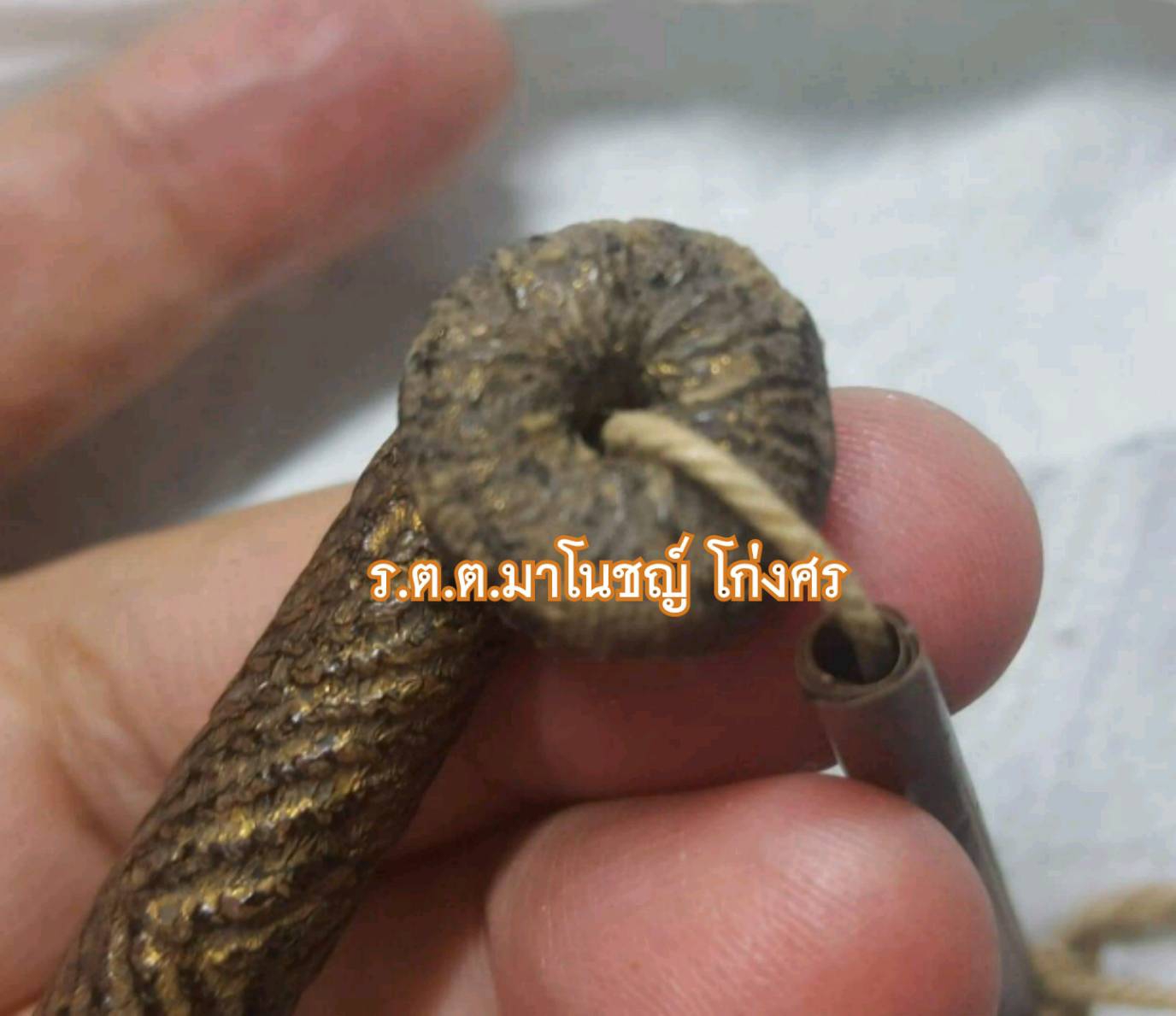 SAVE_20250116_162107