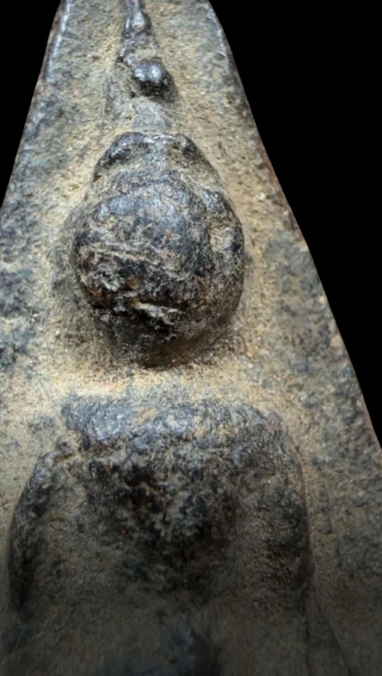 Screenshot_2025-07-01-14-44-19-526_com.photoroom.app_copy_767x1356