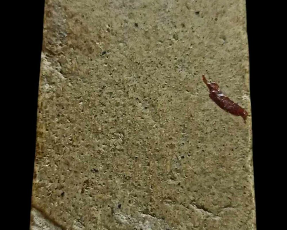 received_648654567909217