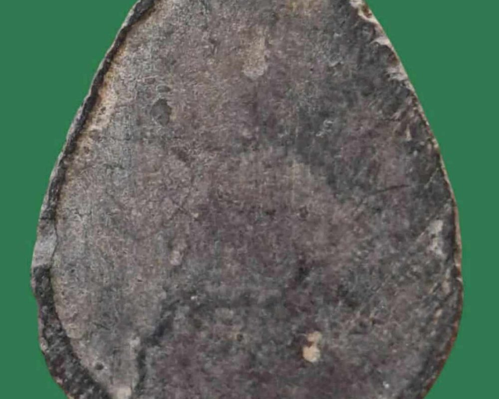received_1094681512238558