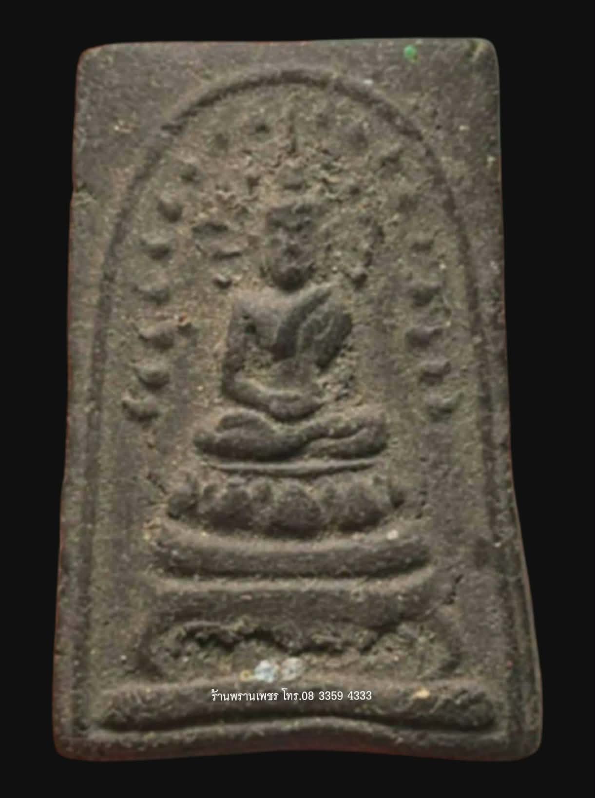 1000177513