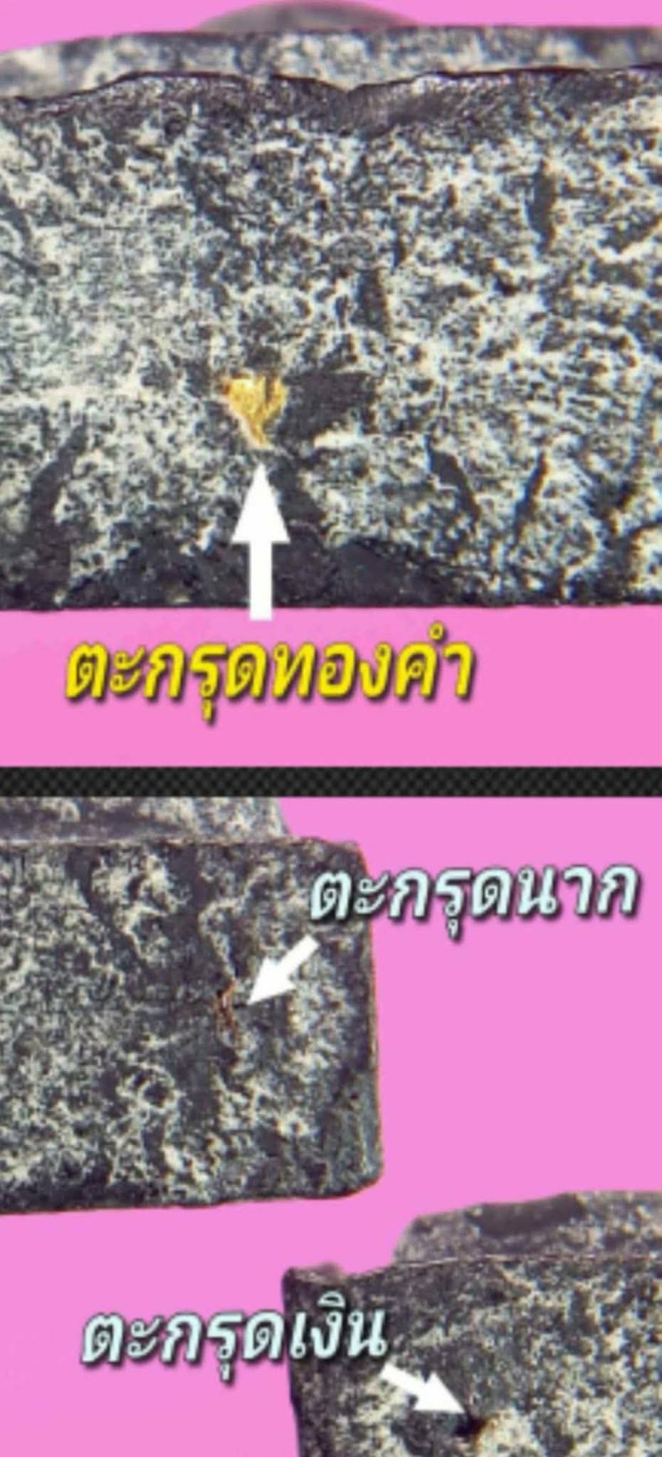 1000182161