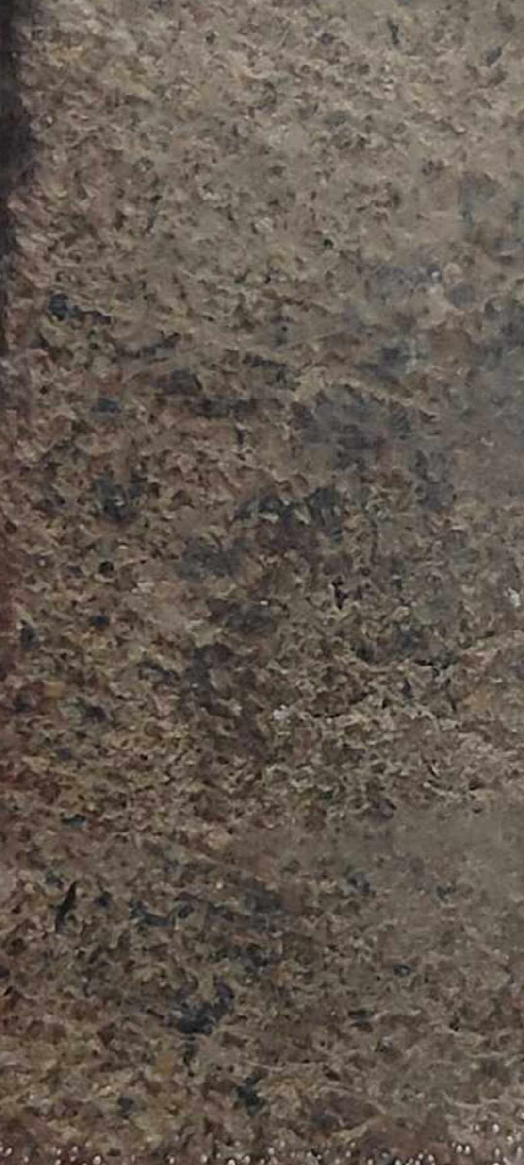 1000185076